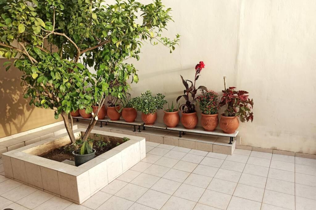Jilda S Apartment With Private Garden! Nauplia Exterior foto